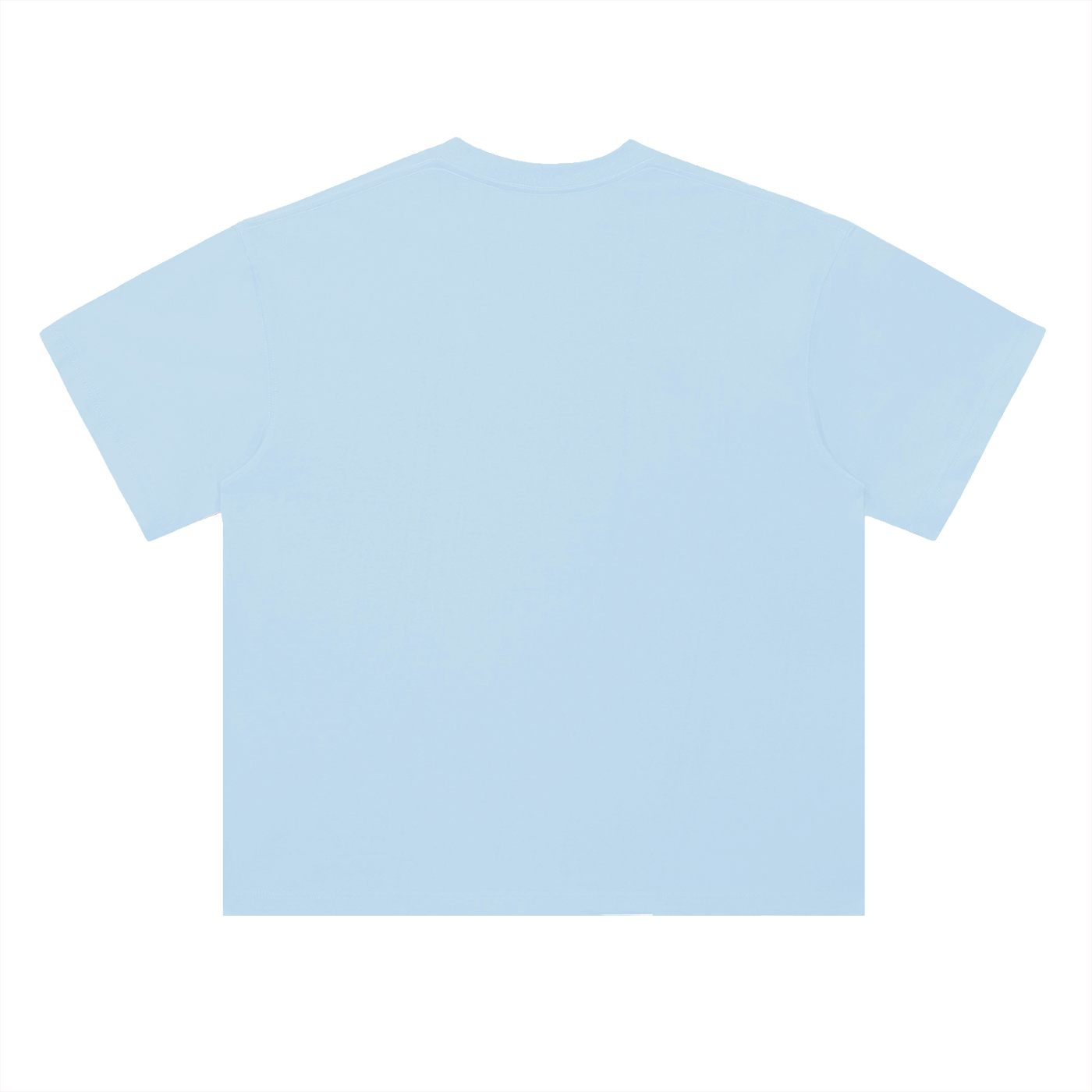 Y2K CHRIS BROWN & USHER S/S T-SHIRT
